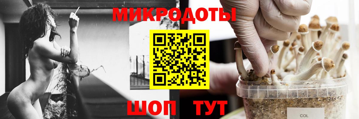 Галлюциногенные грибы Cubensis Балашов